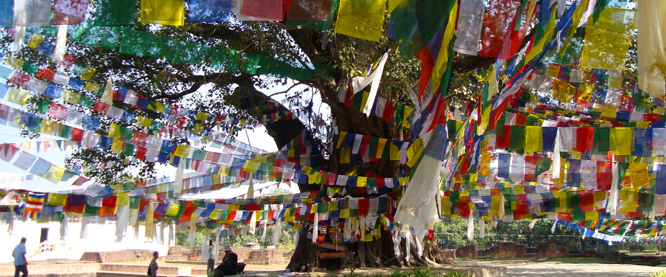 Terrakia. India i Nepal. Les passes de Buda India i Nepal. Les passes de Buda
