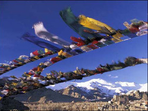 Terrakia. Viatge al Ladakh, Índia Viatge al Ladakh, Índia