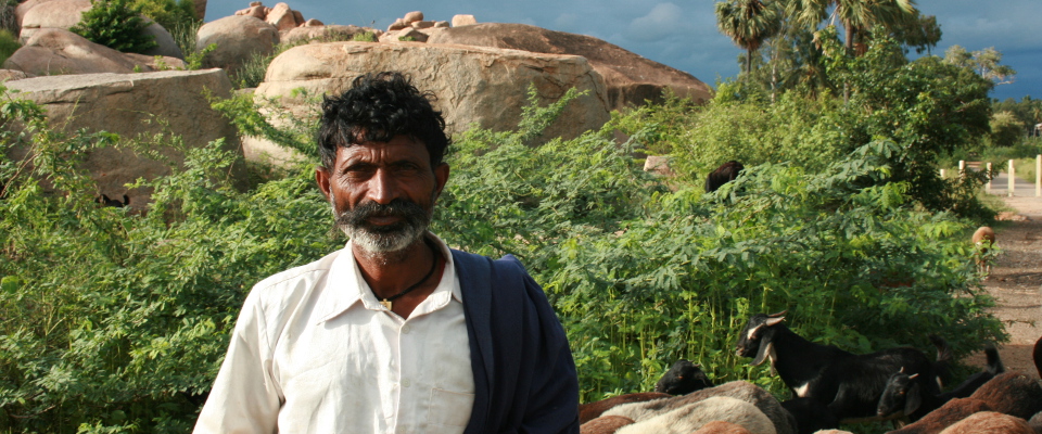 Terrakia - India del Suroeste Templo Hampi
