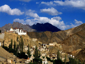 Terrakia. Viatge al Ladakh, Índia Viatge al Ladakh, Índia