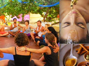 Terrakia - Ioga i Ayurveda a Barcelona Terrakia - Ioga i Ayurveda a Barcelona
