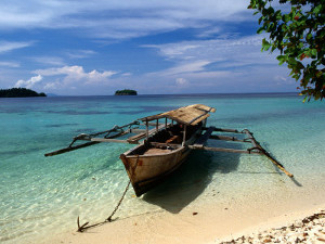 Terrakia - Ens endinsem per l'ila de Sulawesi a Indonèsia Ens endinsem per l'ila de Sulawesi a Indonèsia