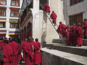 Terrakia. Viaje al Ladakh, India Viaje al Ladakh, India