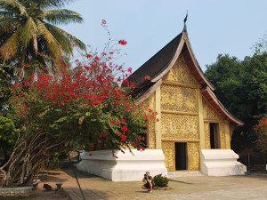 Terrakia. Viatge Cambodja i Laos Viatge Camboya y Laos