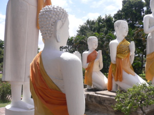 Terrakia. Viatge Camboya y Tailandia Viatge Camboya y Tailandia