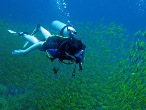 Terrakia - Submarinisme i Escalada a Tailàndia Submarinisme i Escalada a Tailàndia